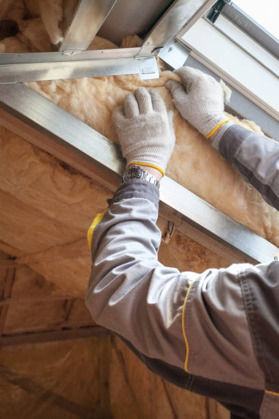Best Eco-Friendly Insulation in La Huerta, NM