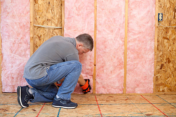 Best Specialized Insulation Services in La Huerta, NM